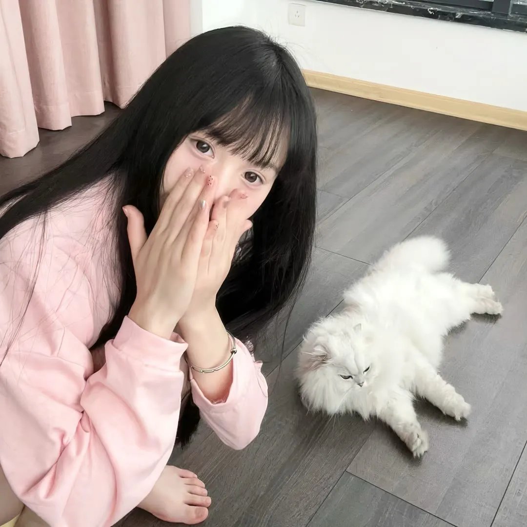 猫2020
